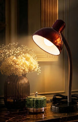 Flexible Gooseneck Desk Lamp