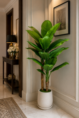 : Artificial Green Indoor Plant – 150 cm Tall Decorative Plant