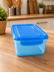 Airtight Plastic Food Storage Container with Blue Lid