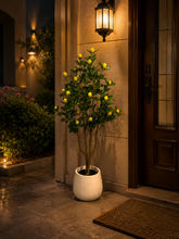 Artificial Lemon Tree Plant 150cm – Decorative Indoor & Outdoor Plant