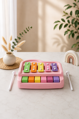 Kids  Xylophone Musical Toy