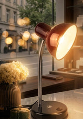 Flexible Gooseneck Desk Lamp
