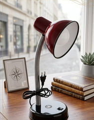 Flexible Gooseneck Desk Lamp