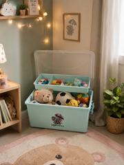 Kids Toy & Storage Organizer Box